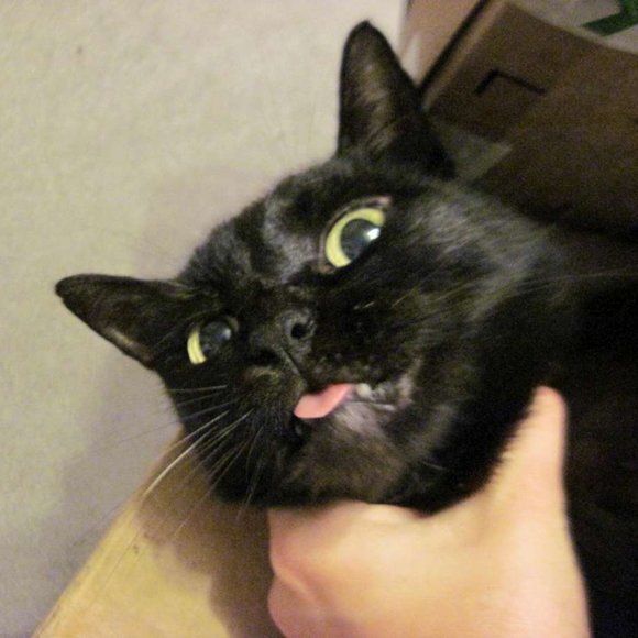 * Welcome to my Closet. Please Read! *  ~ Meet your Posher, Gina - Picture 15 of 16